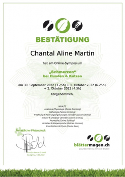 Bestaetigung-Symposium-Schmerzen-Chantal.jpg
