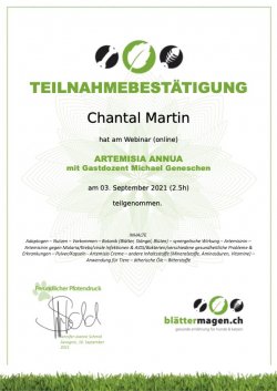 Webinar-Artemisia-Bestaetigung-Chantal-Martin.jpg